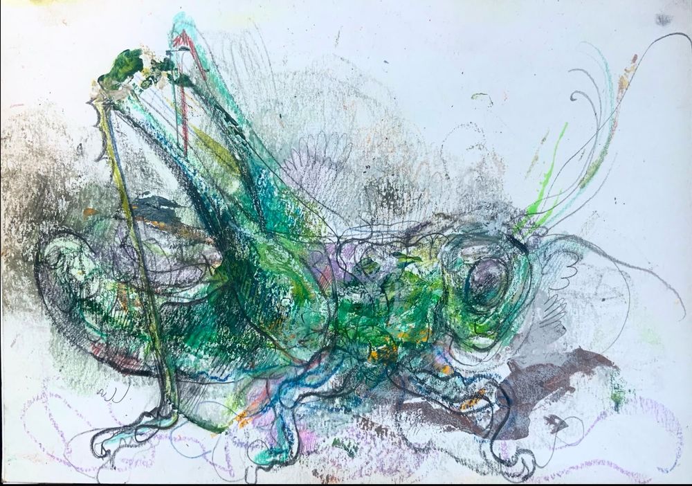 A green grasshopper with many textures 