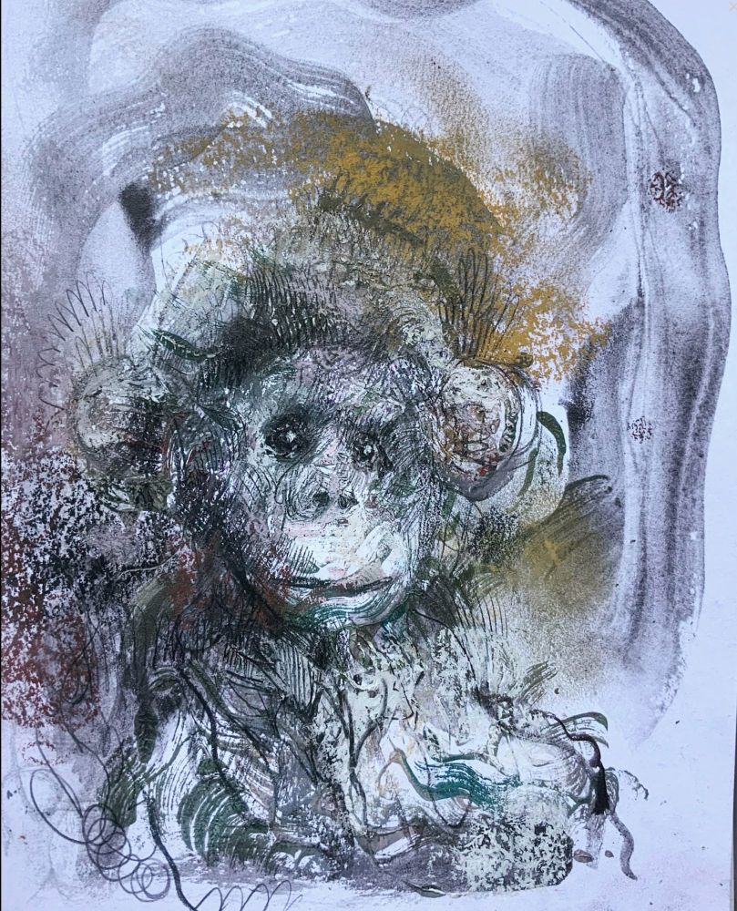 Soft grey monkey, semi monoprint textured drawing 