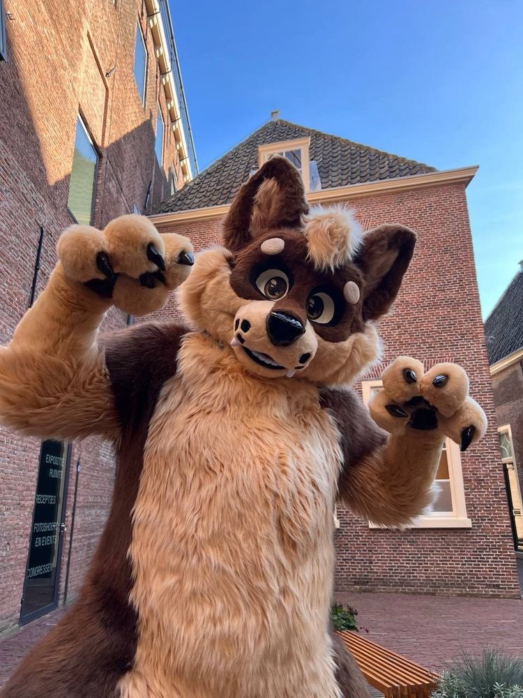 IXXIM, a cute and unthreatening Shiba Inu dog costume, is standing like he wants to pounce the photographer.