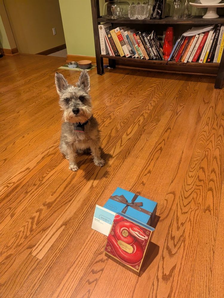 Dunkel with a box of chocolates