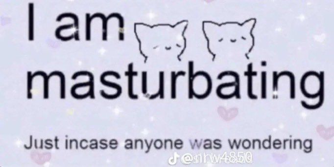 A simple image with some text and two little drawn cats with the following text:

“I am masturbating. 

Just in case anyone was wondering” 