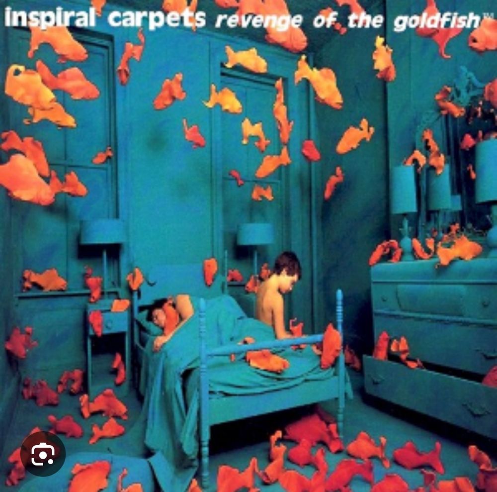 Sandy Skogland art installation 1981 