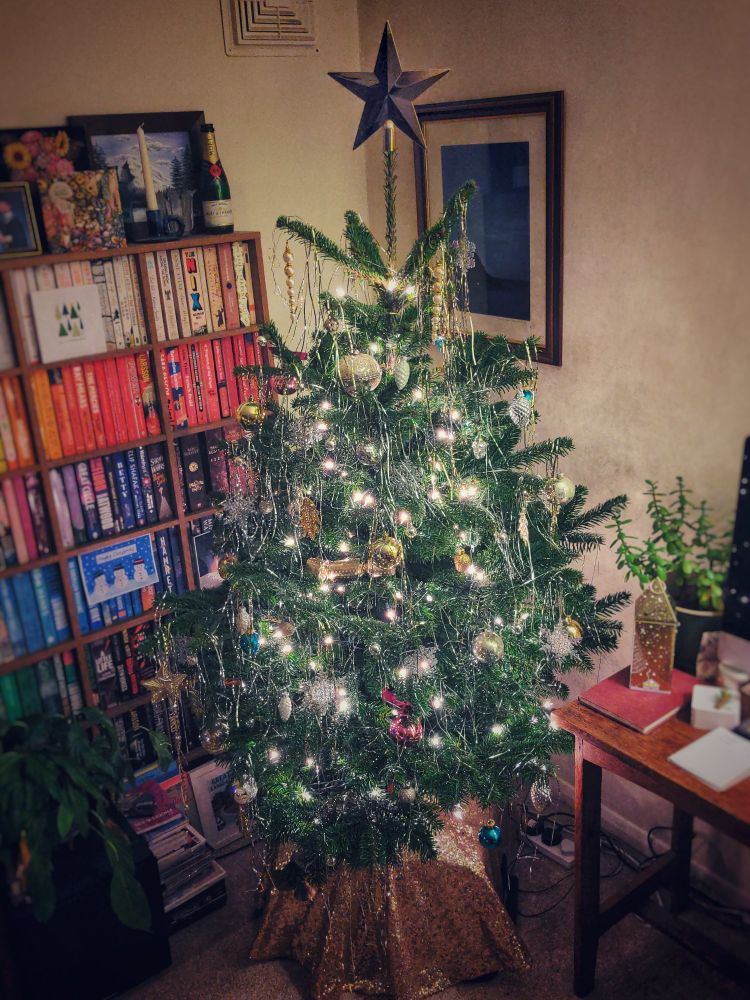A decorated Christmas tree in the corner of a room, with warm white lights and a bookcase behind it