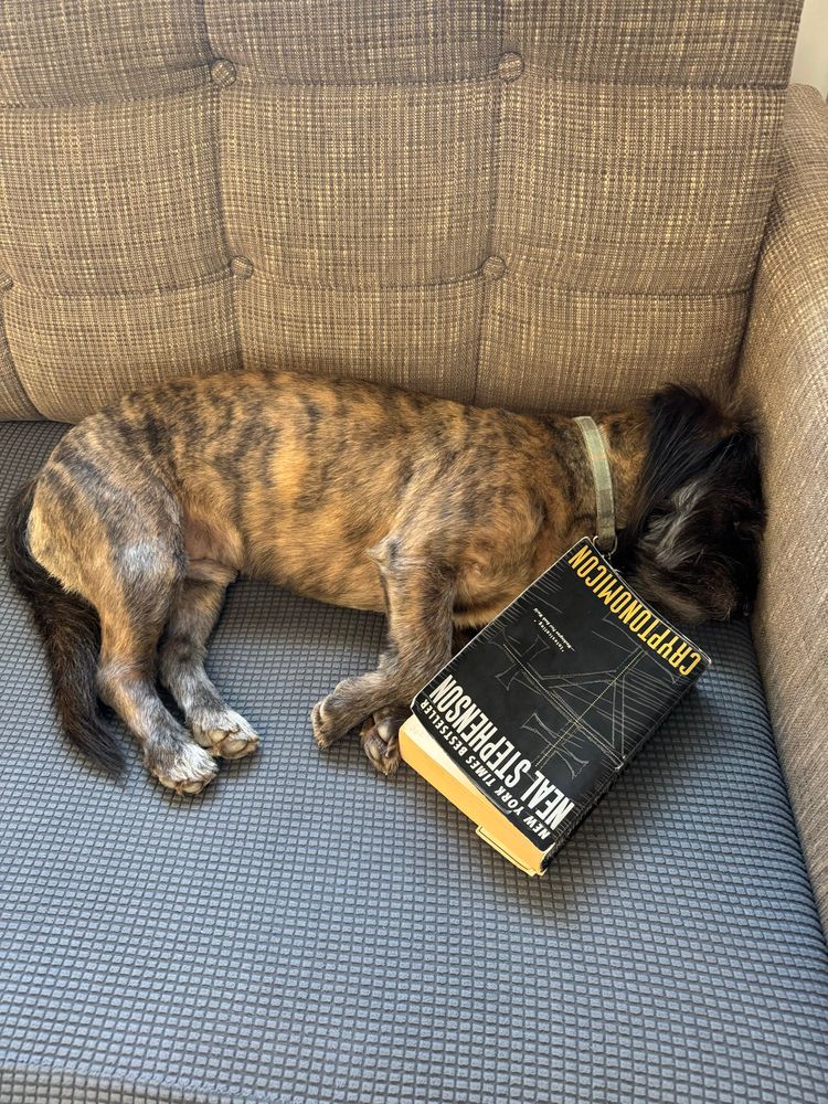 My dog on the couch curled up next to a copy of Neal Stephenson’s Cryptonomicon