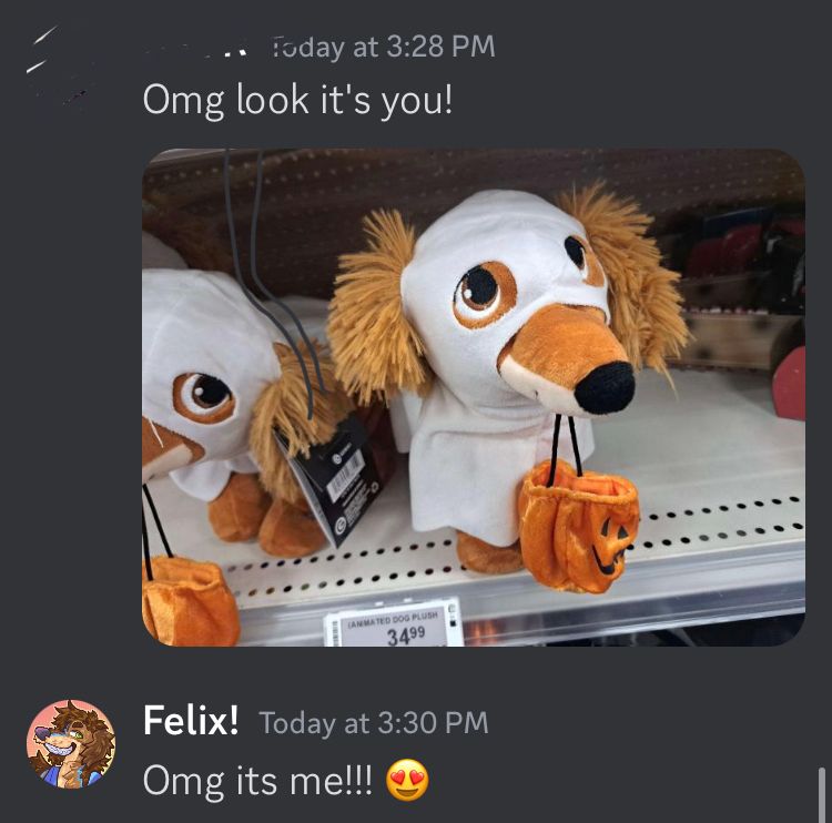 A text conversation between Felix & a friend. The friend had sent a picture of a stuffed dog vaguely resembling Luckie in a ghost costume, captioned ‘omg look its you!” And Felix replies “omg its me!!”
