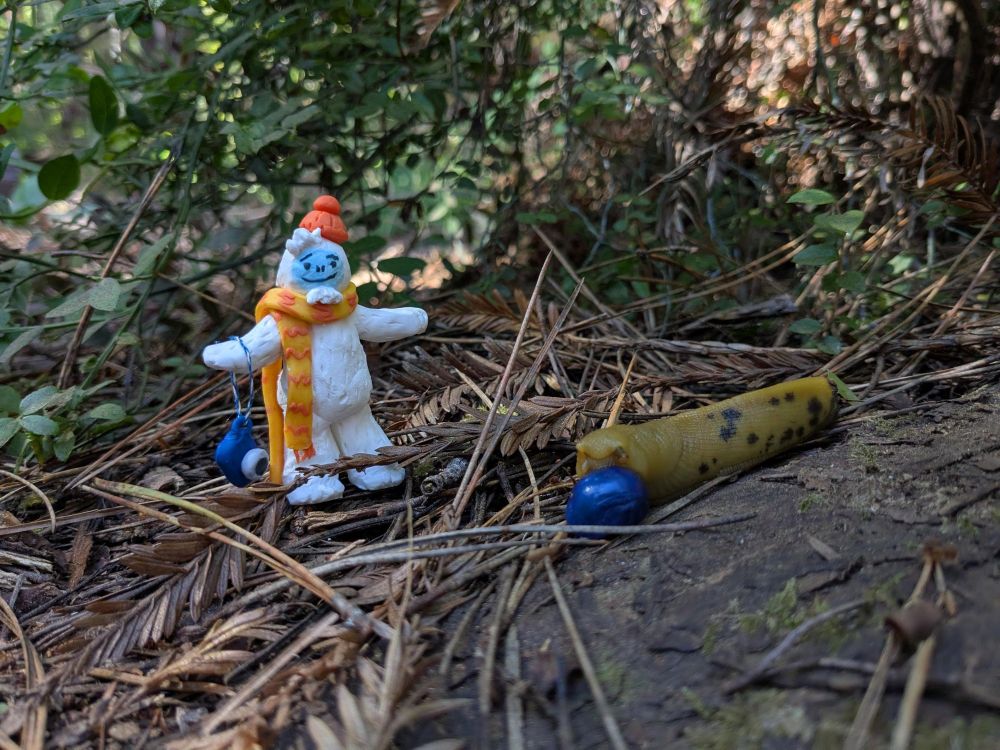 Miniature Otto the Abominable Snow Dancer has a tiny camera and is watching a spotted banana slug munch on a bright blue berry