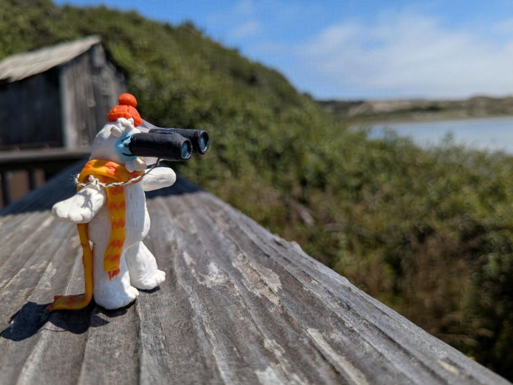Miniature Otto using binoculars to check out the water