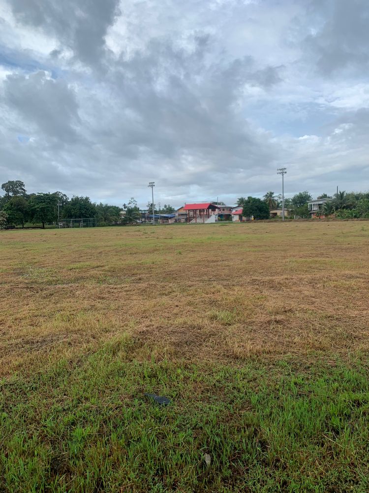 View of the savannah from the running track