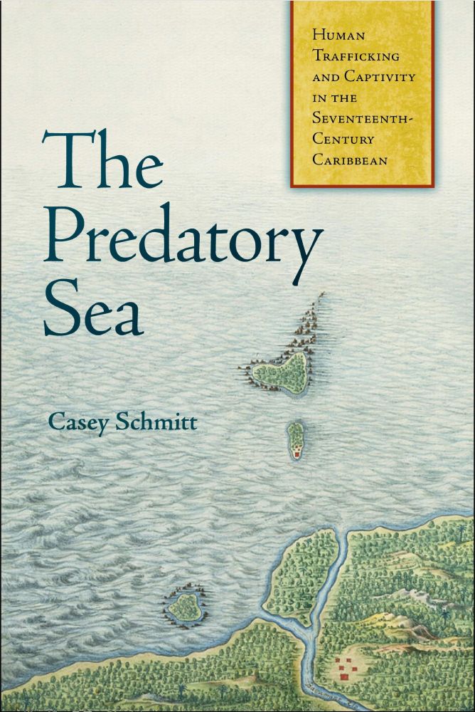 Cover of The Predatory Sea by Casey Schmitt, image with ocean and coastline