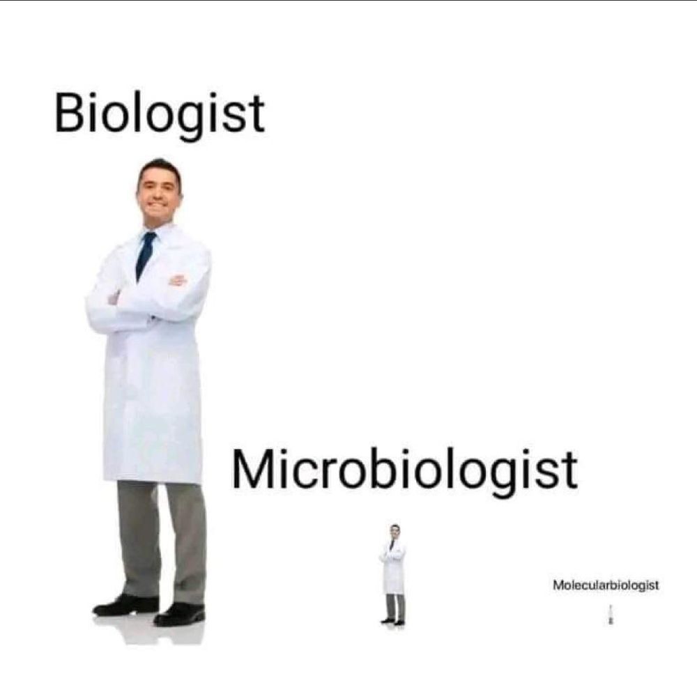 Scientist: Biologist

Smaller scientist: Microbiologist

Even Smaller scientist: Molecularbiologist