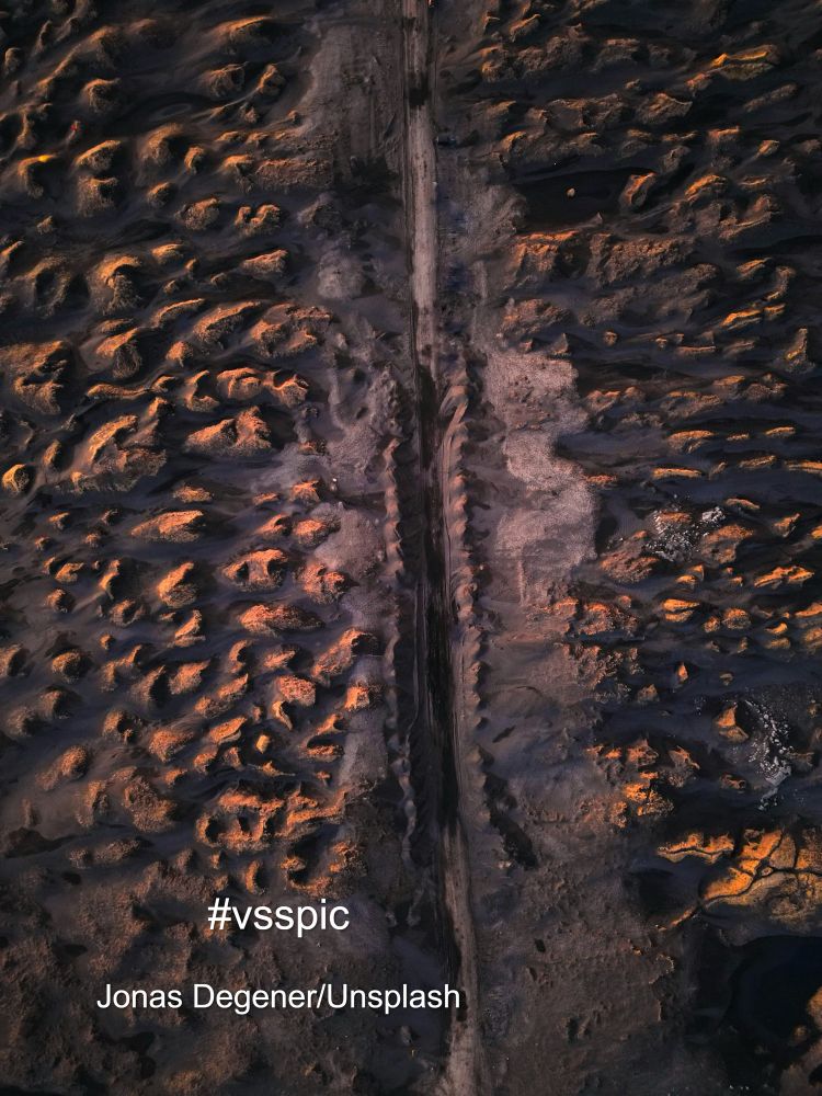 A rut bisecting a muddy field with orange topped mounds on either side.