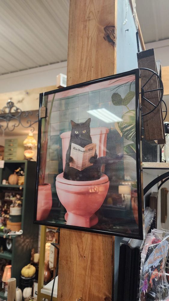 Photograph. Framed print of a black cat sitting on a pink toilet, reading a newspaper. Setting is an antique mall, an assortment of items are seen in the background.