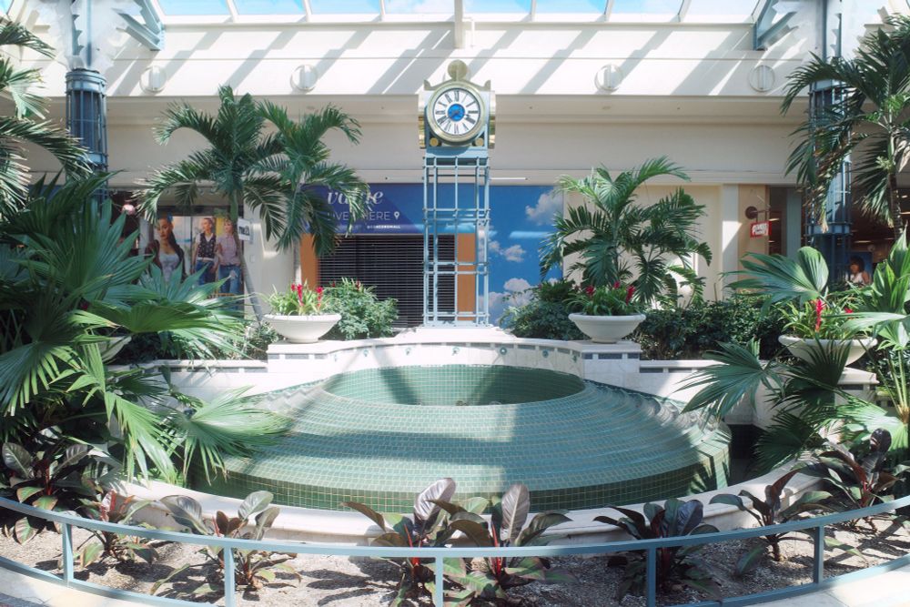Photograph. A large tropical garden under a skylight in a dead shopping mall. A fountain in the center is drained. A clock tower rises above.