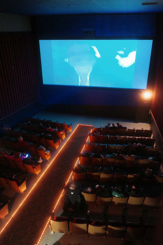 Long-exposure photograph. A small theater with a moderate-sized crowd watching "E.T. - The Extra-Terrestrial". Perspective is above the theater seating, from the projection booth.