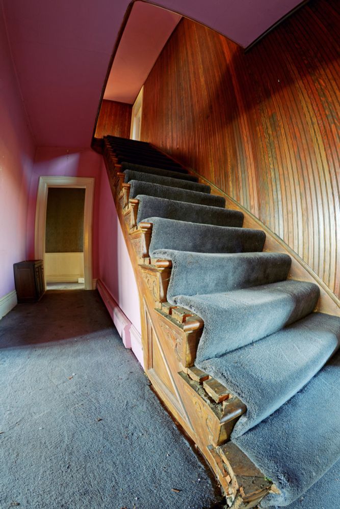 Photograph. A carpet-covered wooden staircase in an abandoned home interior. Wood carvings cap the ends of the stairs, the railing has been removed. Wooden slat panels cover the walls to the right.
