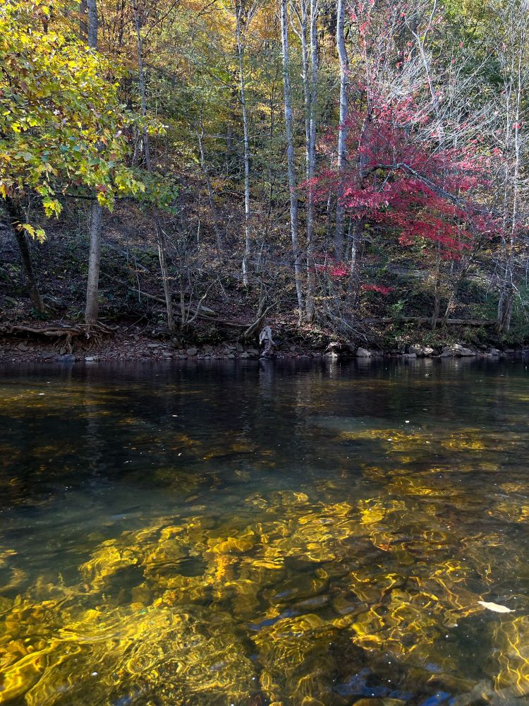 picture of the river, clear water, leaves changing