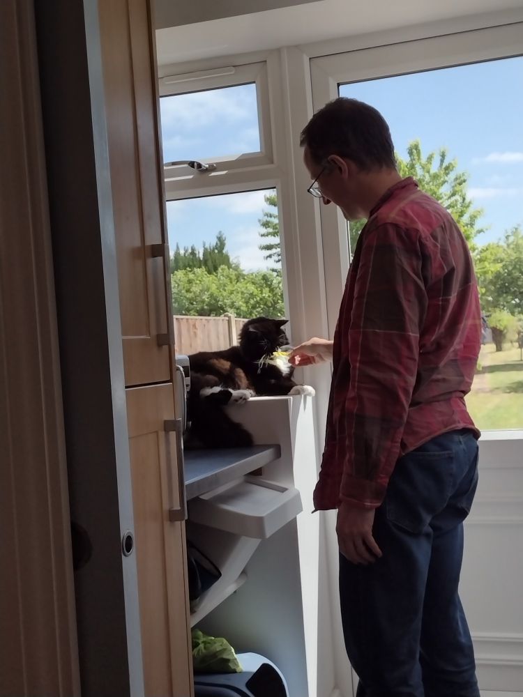 Black and white cat on a windowsill being fed a lettuce leaf by someone in a checked shirt. Garden with trees in the background.