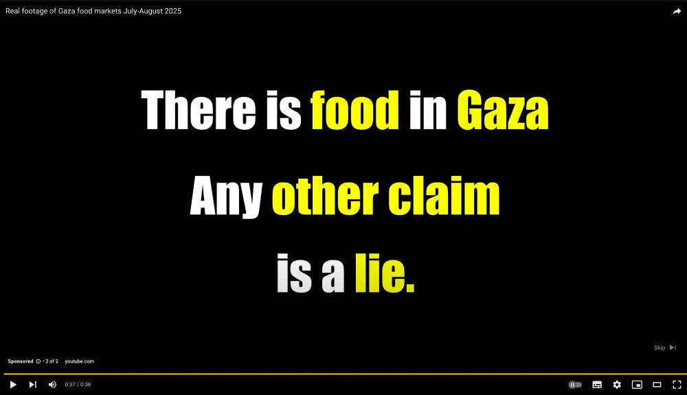 Screen grab of the final message in an absolute horseshit YouTube ad claiming 