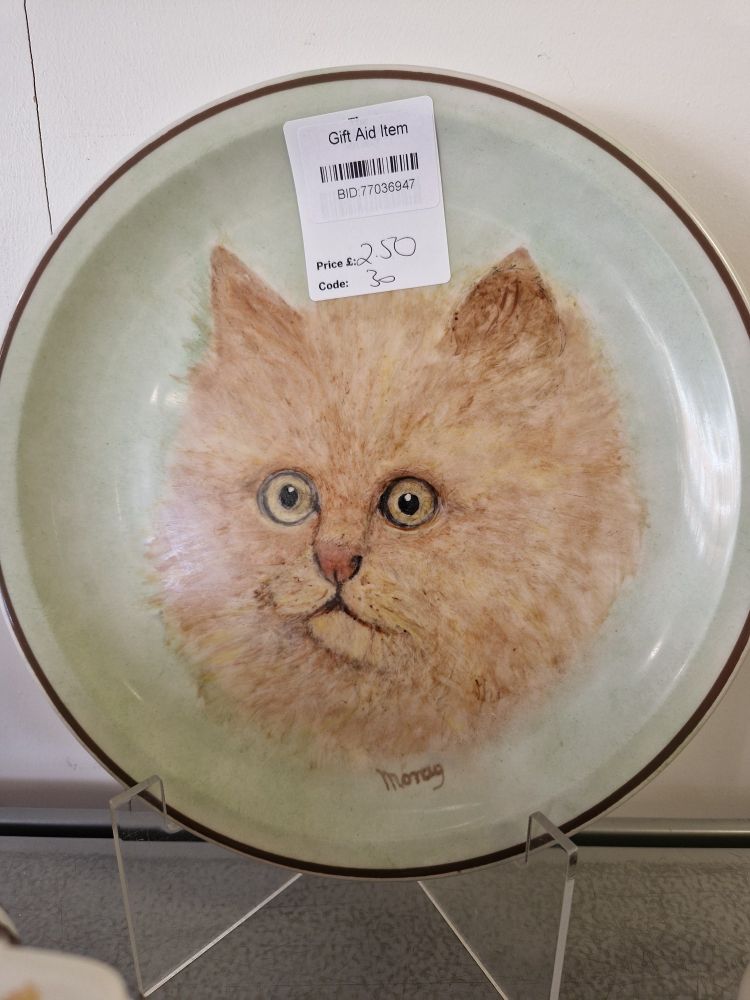 A plate seen in a charity shop. Someone has painted a cat's face on it. The cat looks like it has seen beyond the boundaries of time and space. 