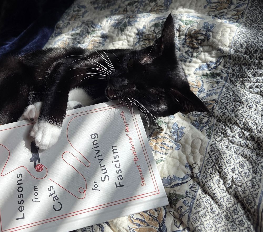 A cat biting a book called Lessons from Cats for Surviving Fascism