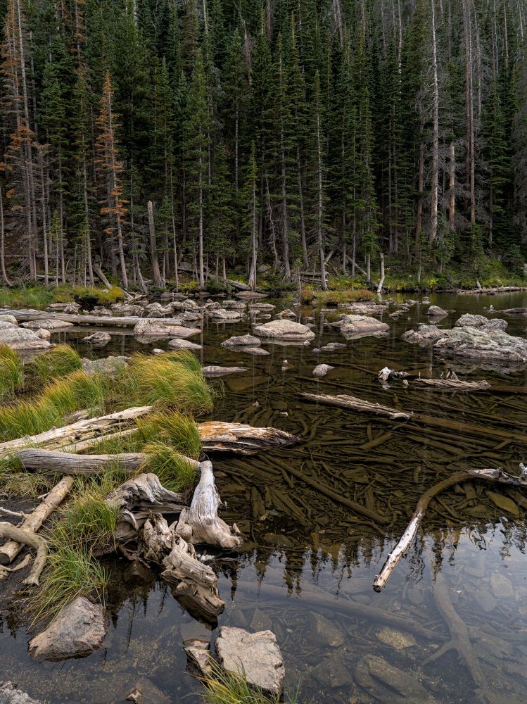 Bear Lake CO 
