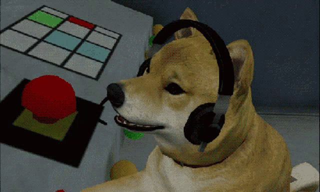 a dog wearing headphones is looking at a button