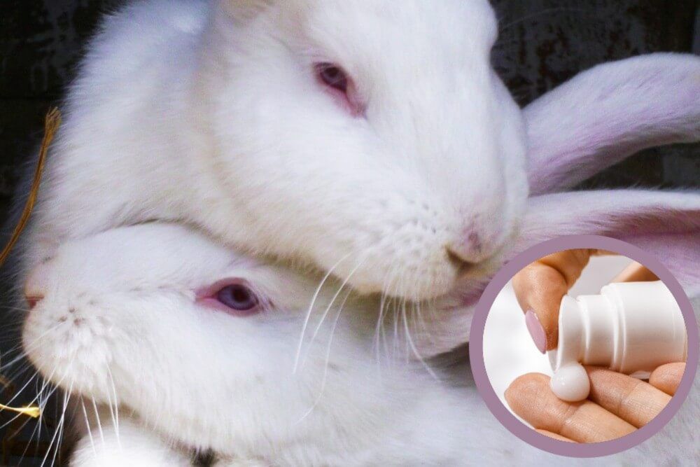 Save the Ban: Take Action Against Cosmetics Tests on Animals