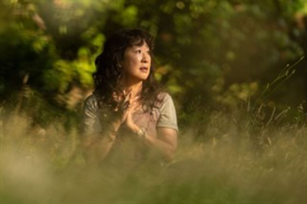 ‘Can I Get a Witness?’ appraises the price of paradise