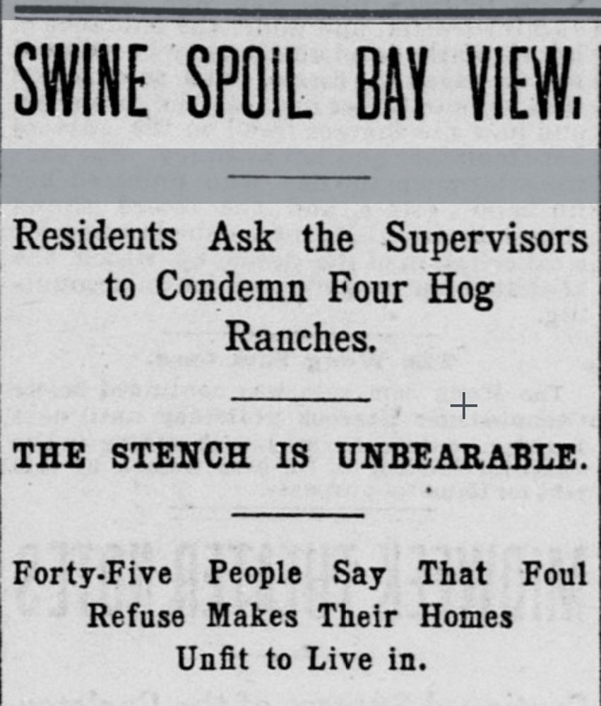 A newspaper headline reads: 

SWINE SPOIL BAY VIEW

Residents Ask the Supervisors to Condemn Four Hog Ranches. 

THE STENCH IS UNBEARABLE. 

Forty-Five People Say That Foul Refuse Makes Their Homes Unfit to Live in. 