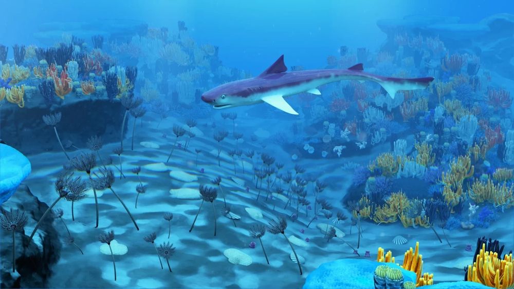 Shark 350million years ago
