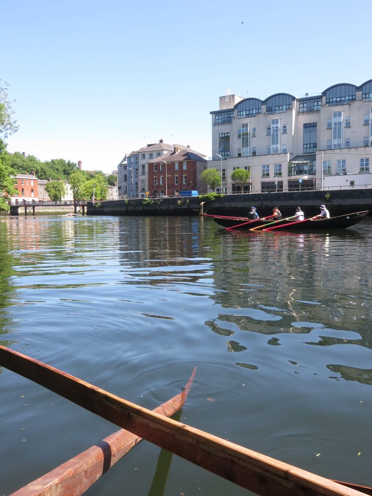 Currach row past Mercy Hospital on river lee