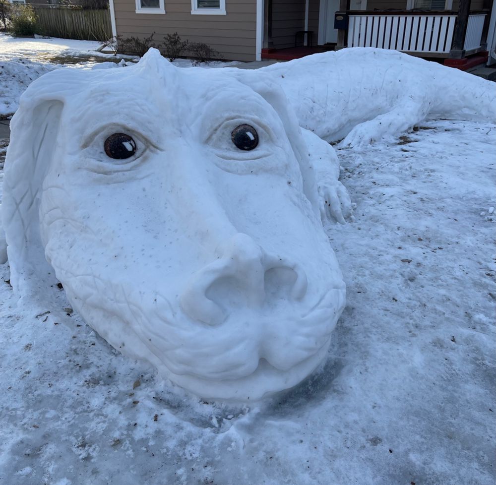 Picture of Falkor from the Never Ending Story, in snow form. 