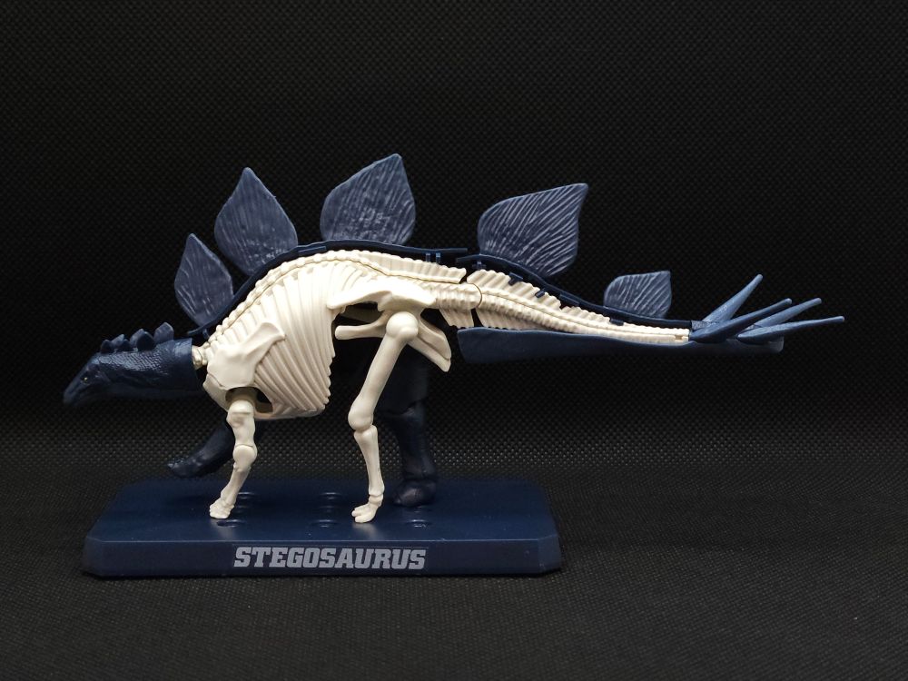 Now some of the skin bits have been added, creating a half skeleton, half living monstrosity