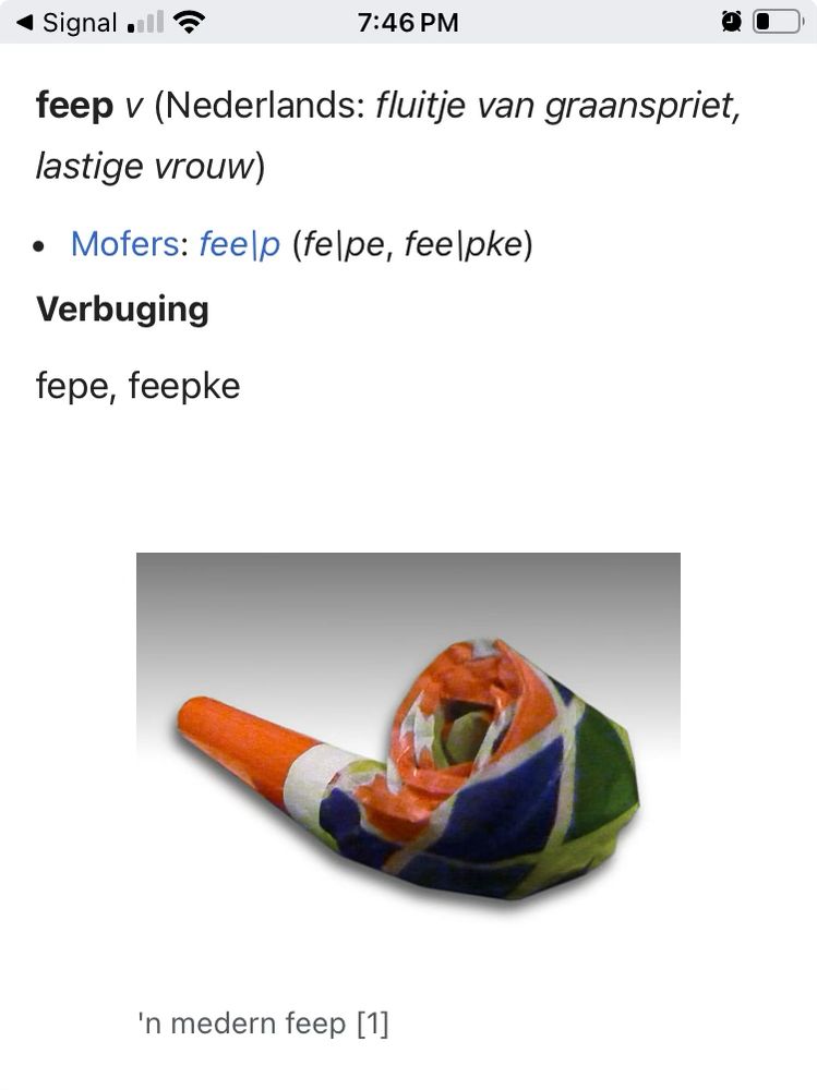 This little party horn toy is apparently, in Limburgs, called a "feep"