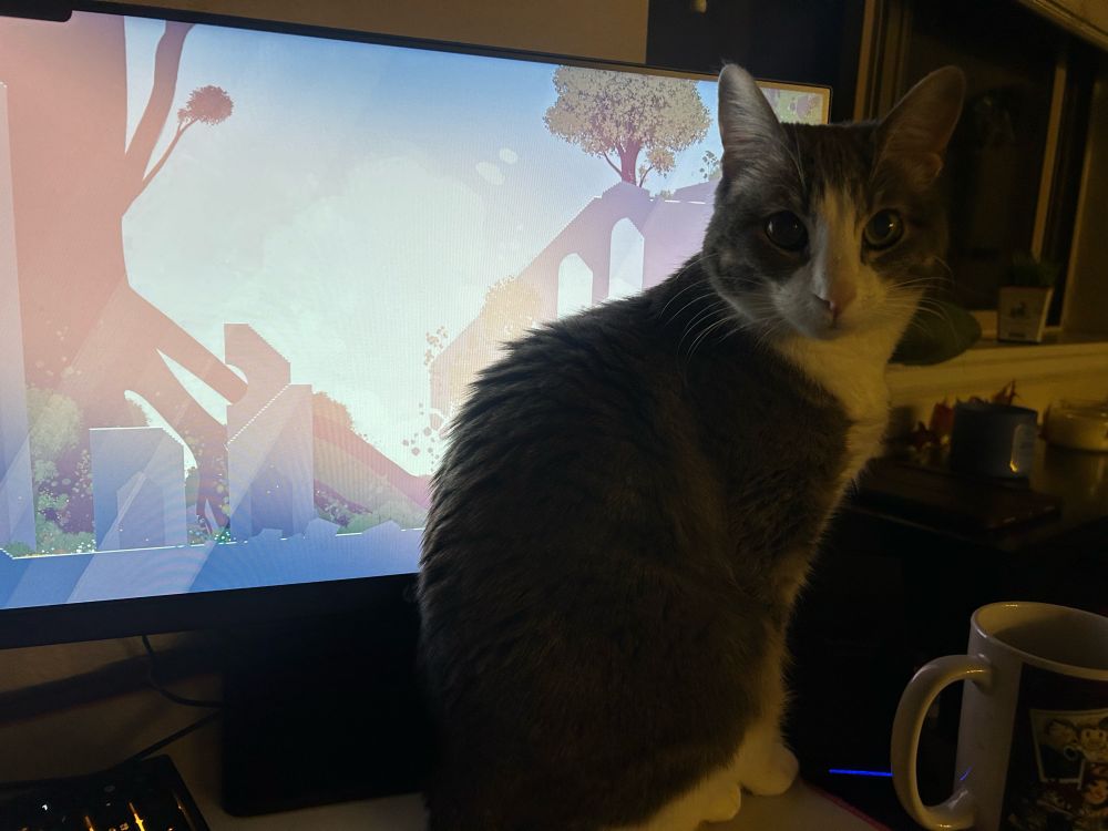 My cat is now on my desk blocking half the monitor 