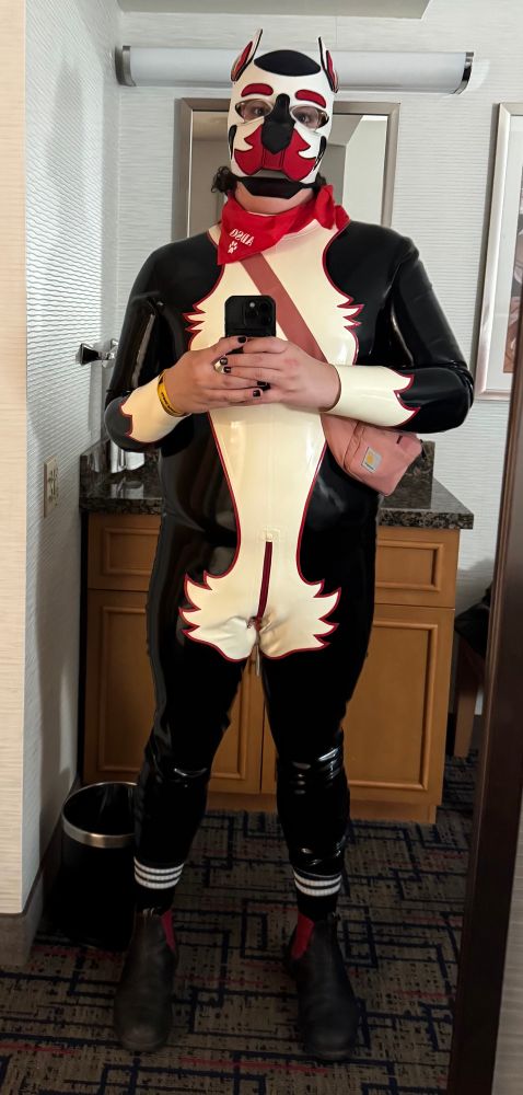 Mirror selfie of a person in a white pup hood with a red muzzle. They are wearing a black latex catsuit with a red-outlined white fur pattern on the belly and wrists. They have glasses on like a nerd.