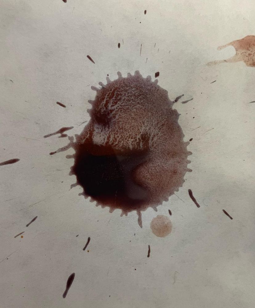 Brown paint drop on a sheet of paper looks fuzzy on the edges. 