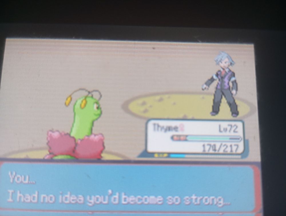 Steven's defeat screen in emerald 