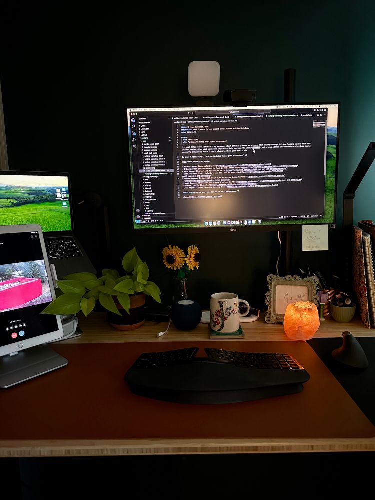 Photo of desk with two monitors, one running a project with a blog post being added, and an iPad with a live bird cam display