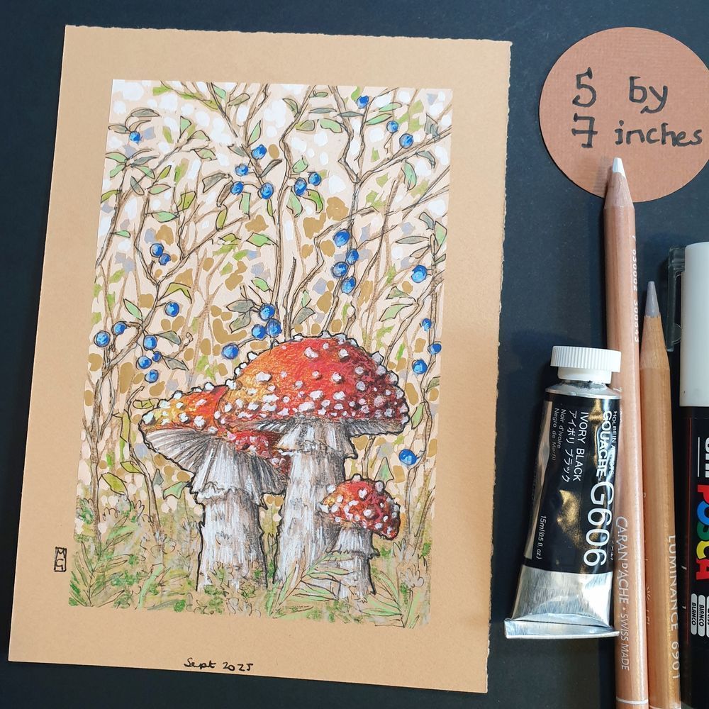 A small colour drawing of everyone's favourite mushrooms. The classic red and white fairy toadstool, Fly agaric. They are in a composition with branches of berries and leaves. The drawing is on warm, peachy toned, beige pastel paper.
An original art work, please note that the frame is not included.
Colour pencil and mixed media on acid free toned artist paper
5 by 7 inches (12.7 by 17.8 cm).