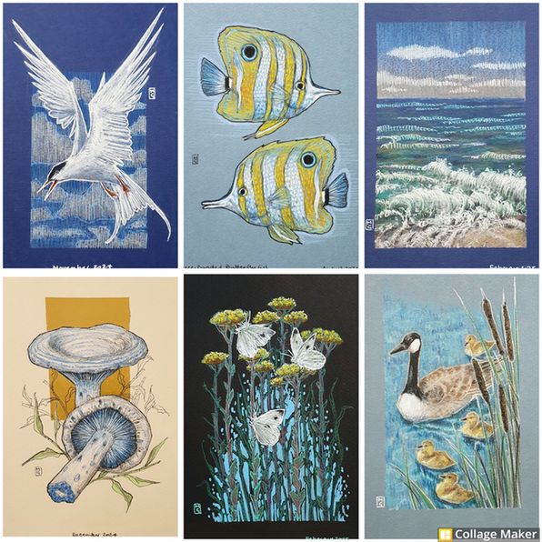 A photo collage of some of my art using the colour blue:
An arctic tern, butterfly fish, a seascape, blue mushrooms, butterflies and flowers, a Canada goose with goslings. 