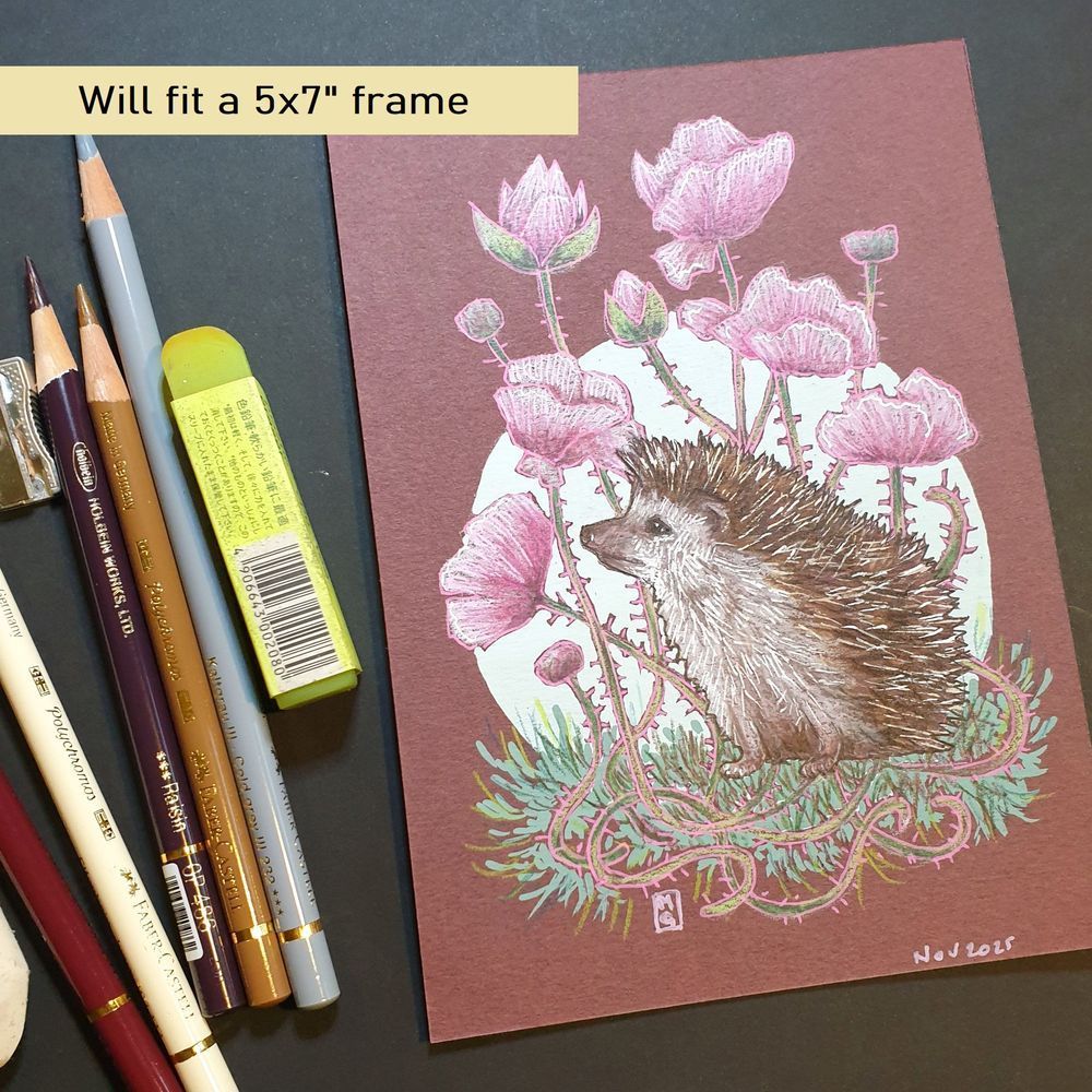 A small drawing of a cute little hedgehog with a background of large pink flowers.
Hedgehogs are well established in urban habitat and can survive very well in our cities, making extremely good use of cemeteries, railway land, wasteland and both public and private gardens.
An original art work, please note that the frame is not included.
Colour pencil and mixed media on acid free toned artist paper
5 by 7 inches (12.7 by 17.8 cm).