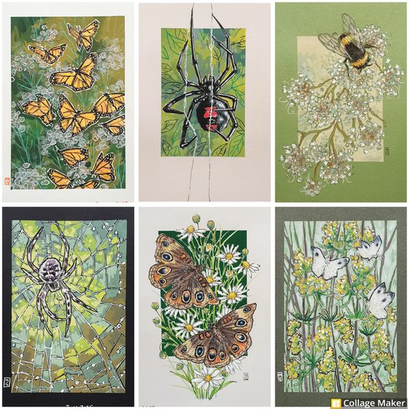A photo collage of some of my insect artwork:
Monarch butterflies, A black widow spider, a bee on flowers, an orb weaver spider, common buckeye butterflies and cabbage white butterflies. 