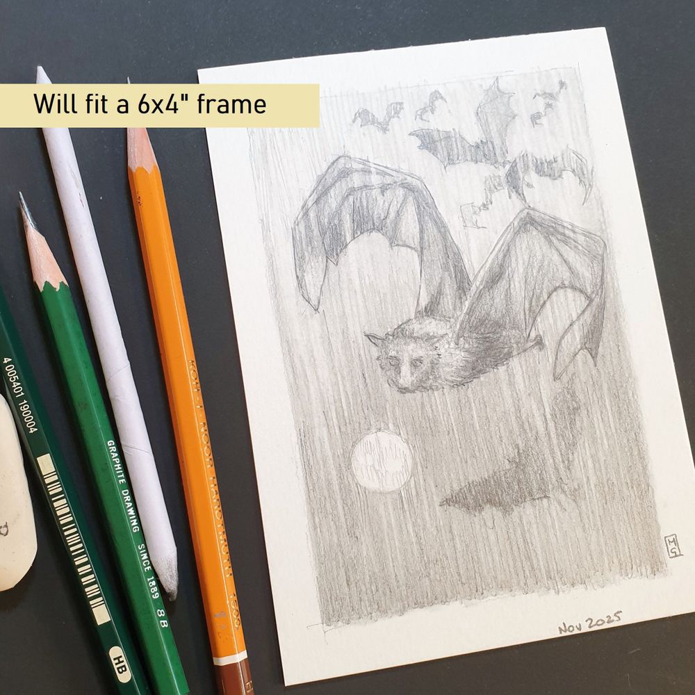A very small pencil drawing of a fruit bat in flight with a group of bats flying behind him and the moon in the sky.
An original art work, please note that the frame is not included.
Colour pencil on white acid free artist watercolour paper (postcard size).
Approximately 4 by 6 inches (10.16 x 15.24 cm) will fit into a standard 4 by 6 inch photo frame.