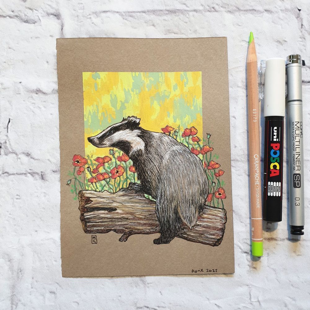A small drawing of a European badger climbing a log. There are red poppies in the background. The drawing is on buff coloured paper.
The black-and-white striped badger is a well known species in the UK. It is our largest land predator feeding on small mammals, birds' eggs, worms, fruit and plants.
An original art work
Colour pencil and mixed media on acid free toned artist paper
5 by 7 inches (12.7 by 17.8 cm).
Sold unframed