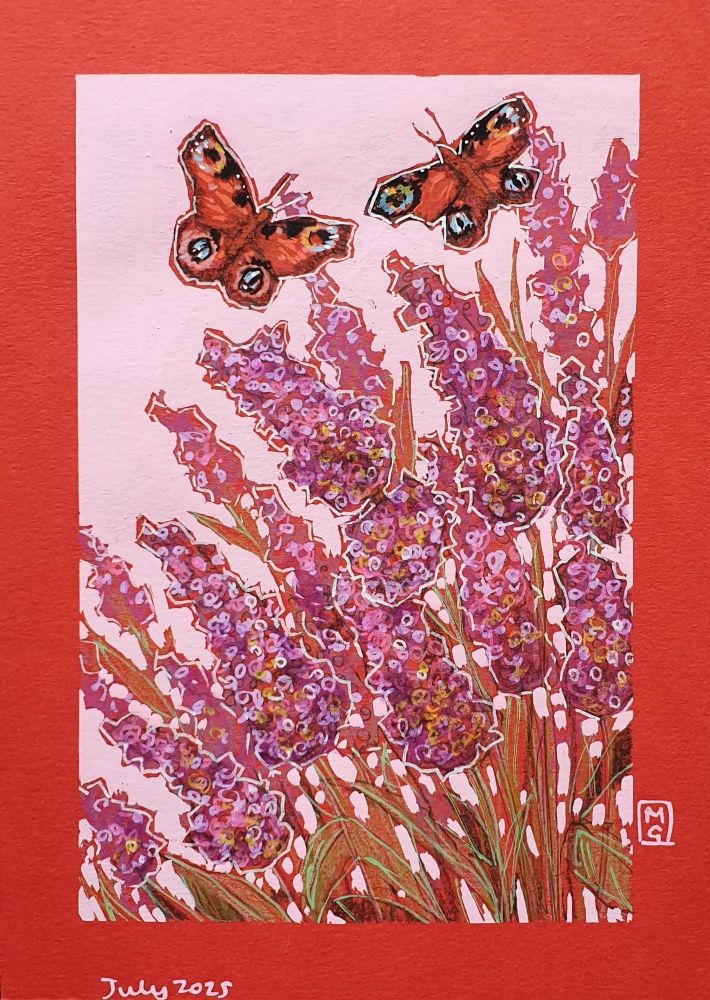 A small original artwork of two peacock butterflies flying over purple and pink toned Buddleia bush flowers. The artwork has a pink background and is on red paper.
An original art work
Colour pencil and mixed media on acid free toned artist paper
5 by 7 inches (12.7 by 17.8 cm).
Sold unframed