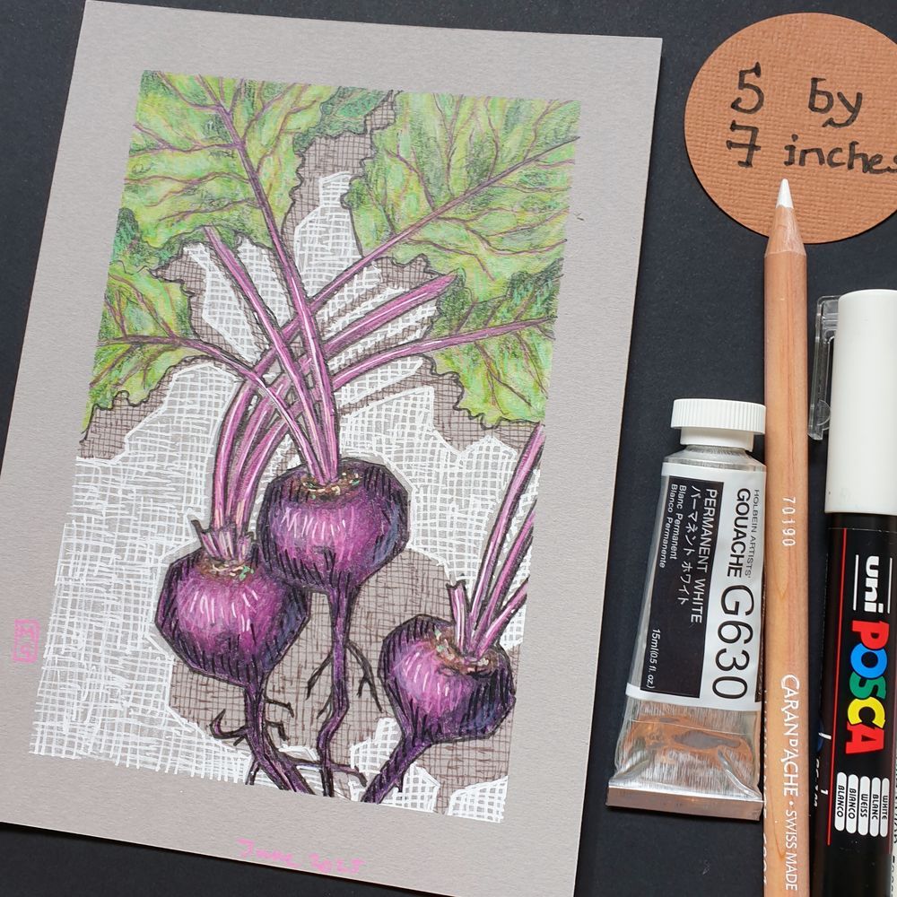 A small original drawing of purple beetroot with stalks and green leaves. The drawing is on grey toned pastel paper.
An original art work
Colour pencil and mixed media on acid free toned artist paper
5 by 7 inches (12.7 by 17.8 cm).
Sold unframed
