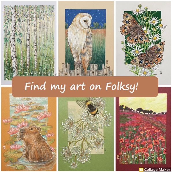 A photo collage of some of my artwork:
A birch tree woodland, a barn owl, common buckeye butterflies, a capybara in a waterlily pond, a bee on delicate white flowers and a red poppy field.