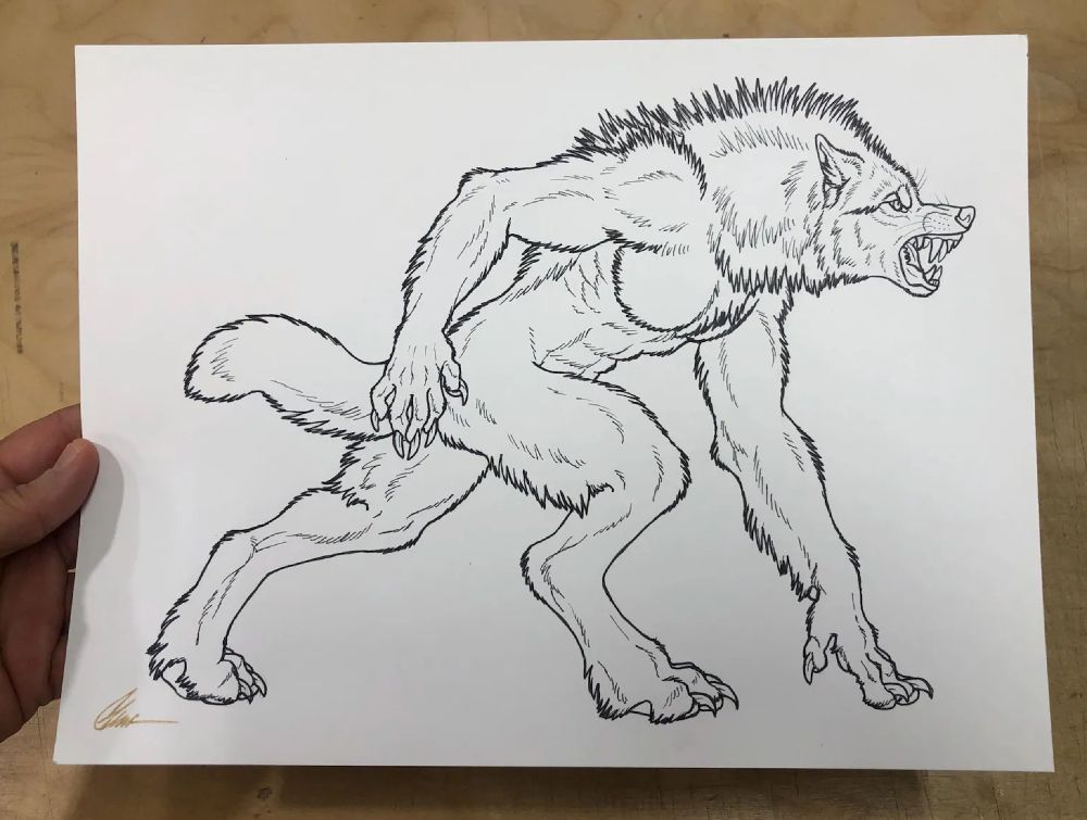 Photo of a hand holding an original ink drawing on Bristol paper of a stalking, snarling werewolf