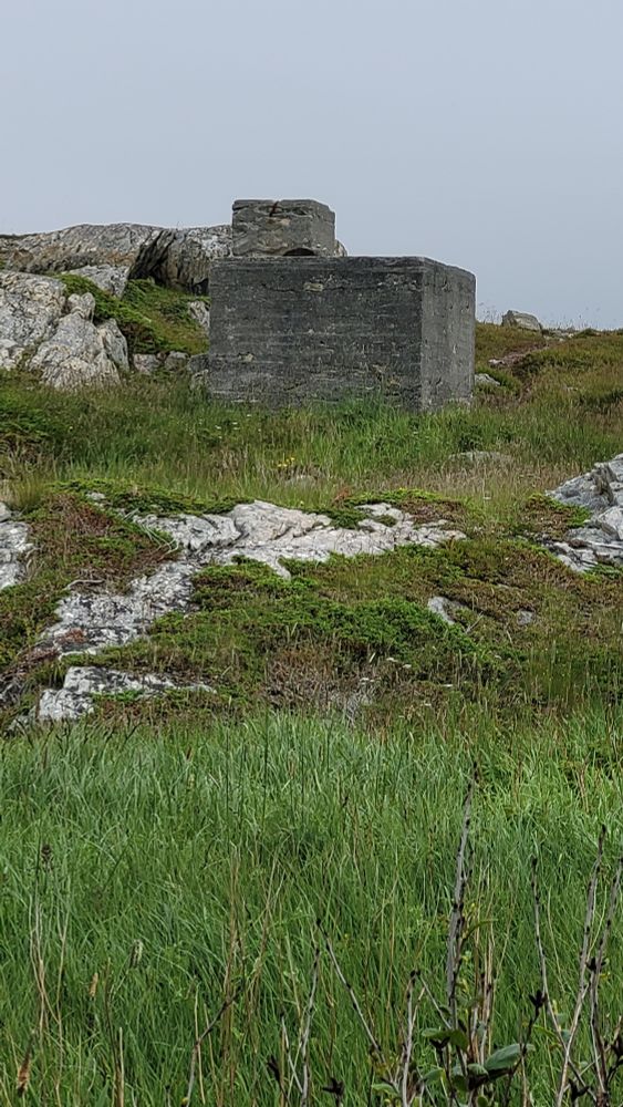A cement structure used as a cold cellar. The house that was nearby is long gone. 
